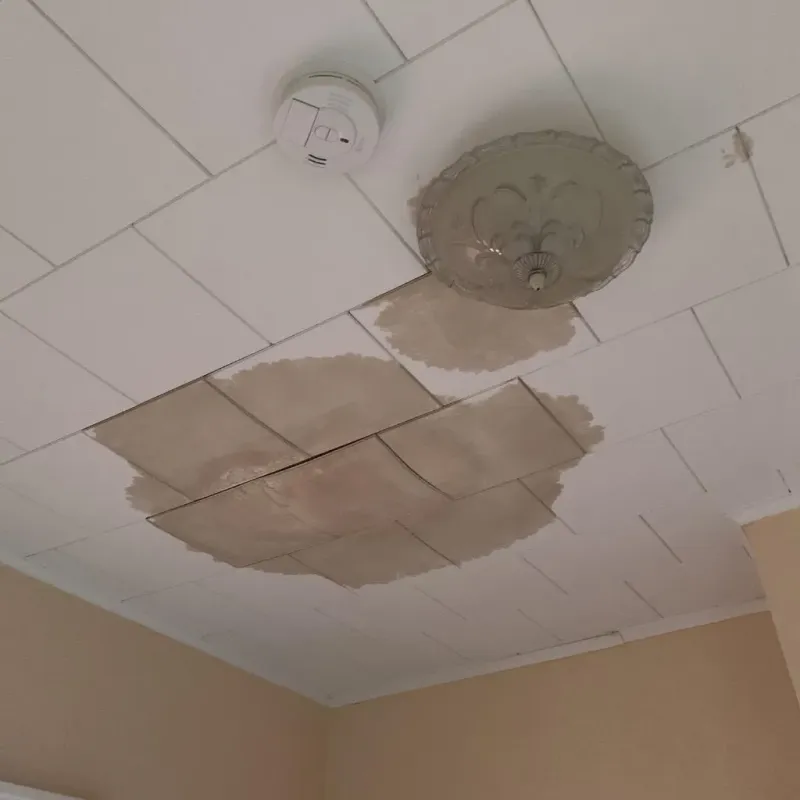 Ceiling Water Damage Repair in Rensselaer, NY