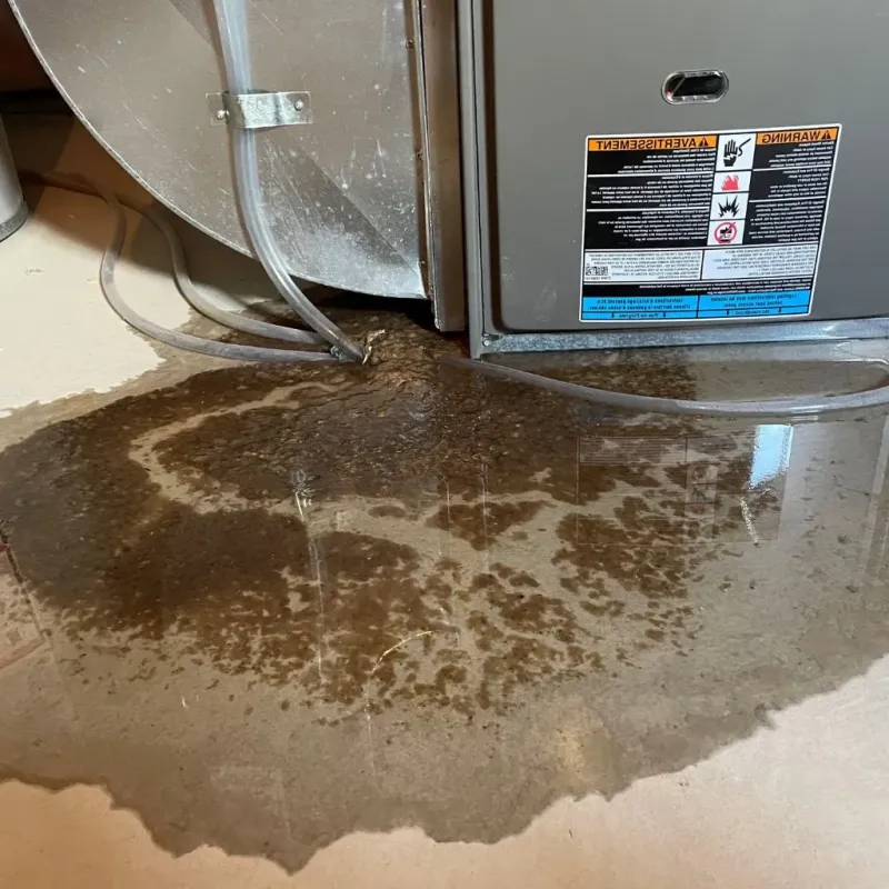 Pipe Burst and Leak Restoration in Rensselaer, NY